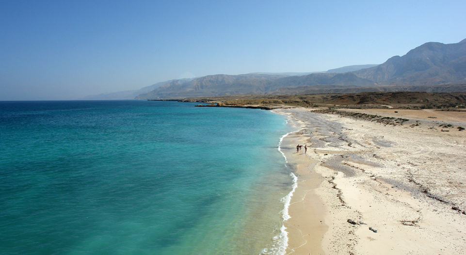 Fins Beach