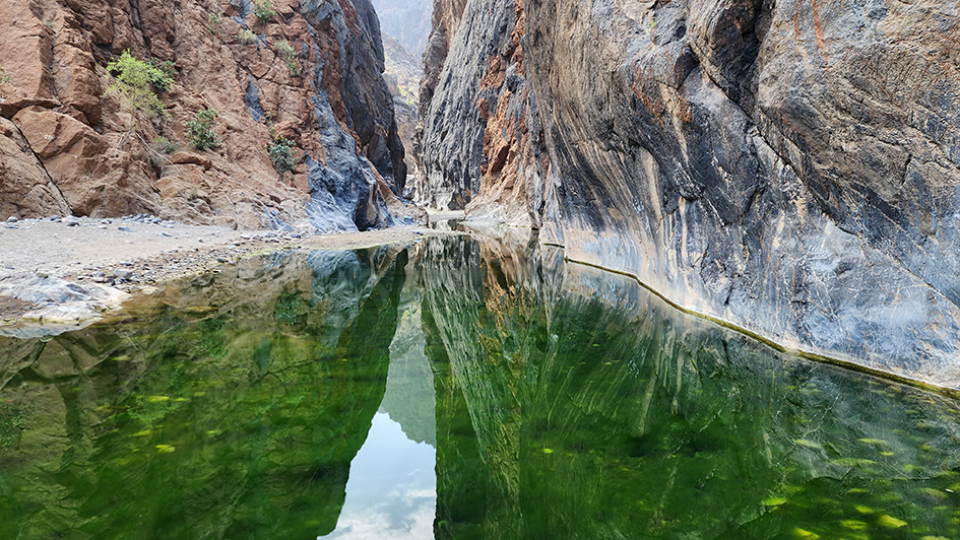 SNAKE GORGE 1 NOV 24