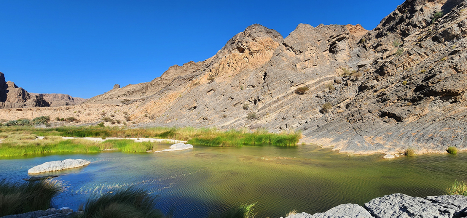WADI ARBEEN