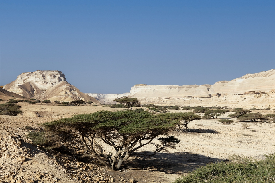 la selvaggia Wadi Shuwaimiyya dal paesaggio incredibile
