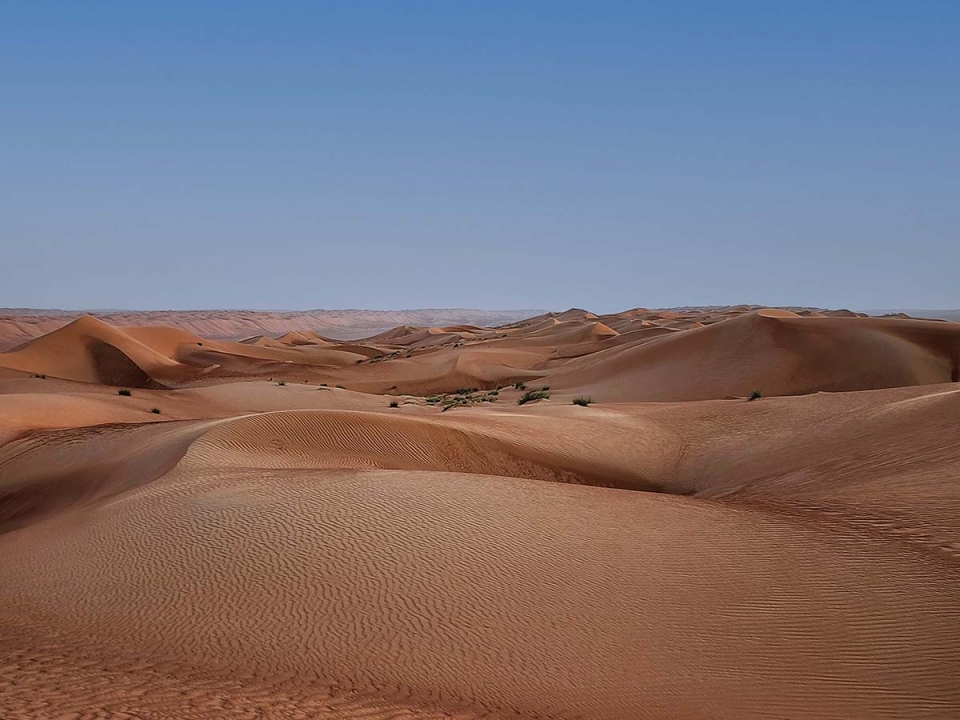 le dune del deserto di Wahiba Sands